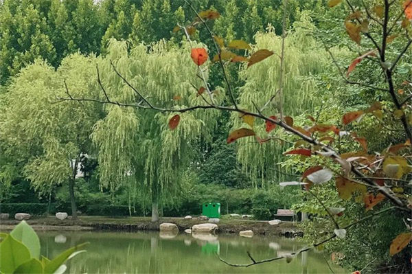 河南农业大学怎么样?