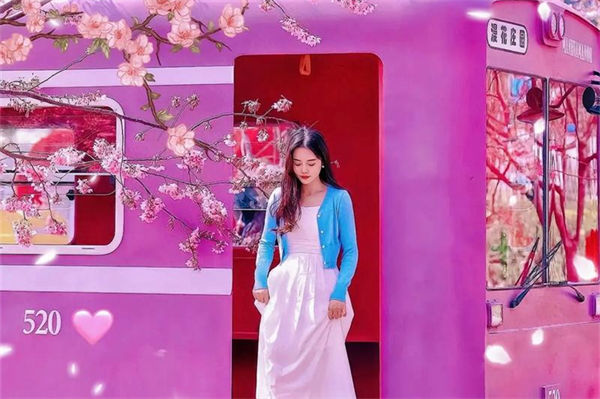 樱花的花语是什么?