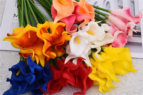 马蹄莲的花语是什么?